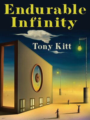 cover image of Endurable Infinity
